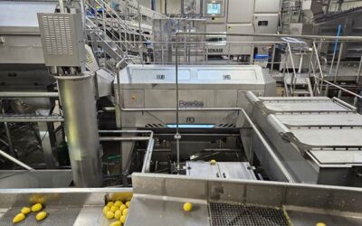 MK Agro expands potato processing with Forsfood’s rollerknife peeling technology